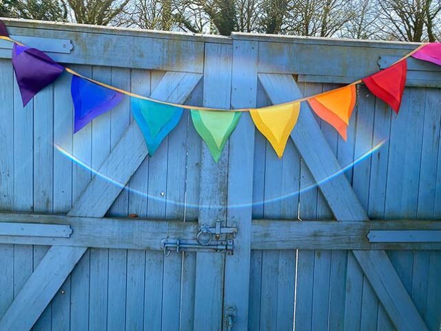 Indian Petal Bunting available for hire