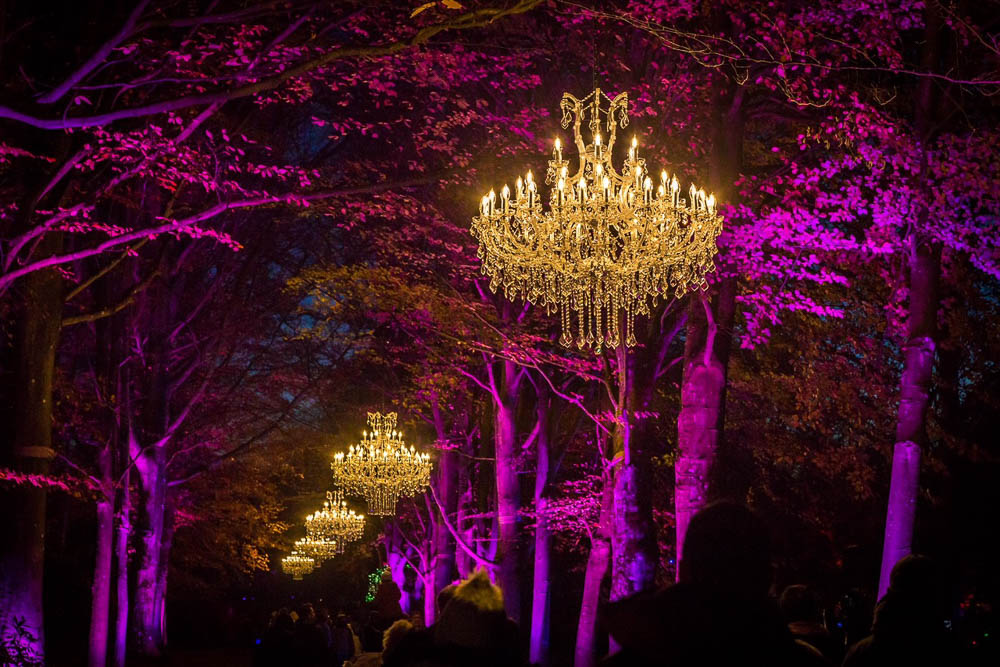 crescent moon forest chandeliers